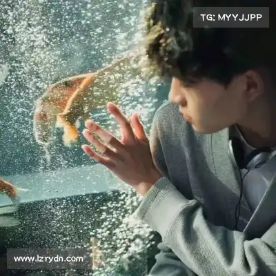 曹含尤